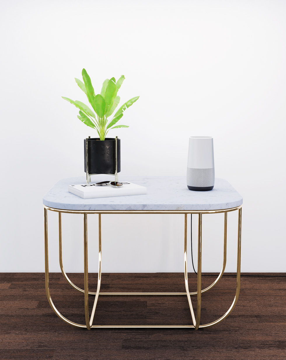 An Echo Gourmet sitting on a small side table with a plant and book.