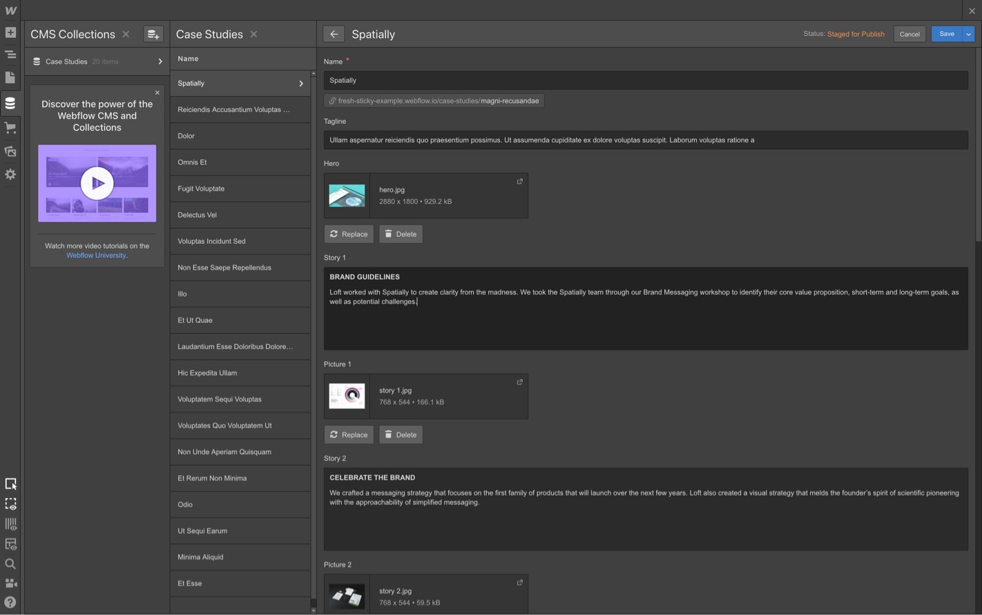 Webflow CMS screenshot